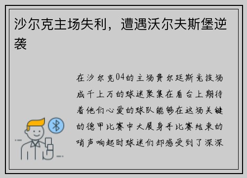 沙尔克主场失利，遭遇沃尔夫斯堡逆袭