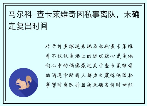 马尔科-查卡莱维奇因私事离队，未确定复出时间
