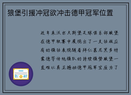 狼堡引援冲冠欲冲击德甲冠军位置